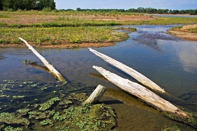 Bord de Loire © H. Degrutère.jpg