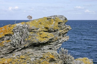 Bretagne Belle-Ile-en-Mer.jpg