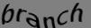 Enter the word